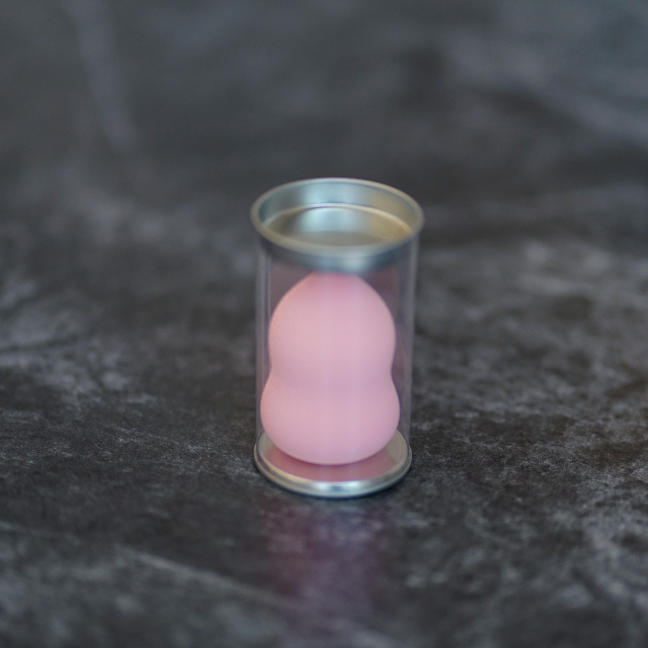 Beauty Blender Pouch